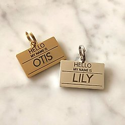 Two Tails Pet Company Hello My Name Is Brass Non-Personalized Dog & Cat ID Tag, Silver slide 2 of 3