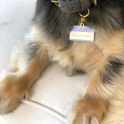 Show full view: Two Tails Pet Company Hello My Name Is Good Boy Brass Non-Personalized Dog & Cat ID Tag, Blue slide 4 of 7