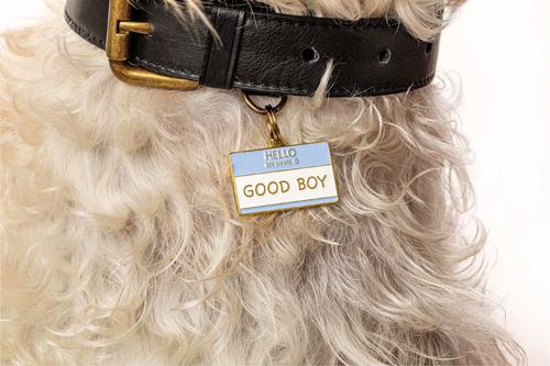 Show full view: Two Tails Pet Company Hello My Name Is Good Boy Brass Non-Personalized Dog & Cat ID Tag, Blue slide 3 of 7