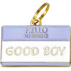 Two Tails Pet Company Hello My Name Is Good Boy Personalized Dog & Cat ID Tag