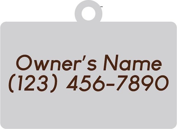 Two Tails Pet Company Hello My Name Personalized Dog & Cat ID Tag