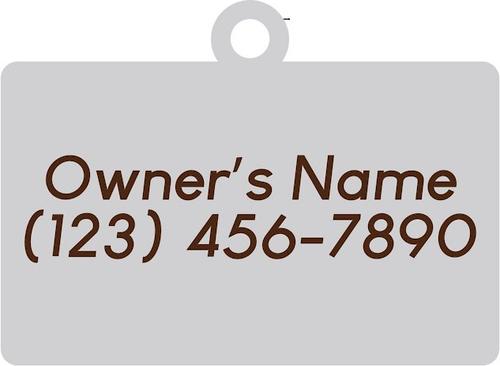 Show full view: Two Tails Pet Company Hello My Name Personalized Dog & Cat ID Tag, Silver slide 3 of 5