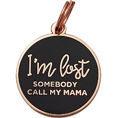 Two Tails Pet Company I'm Lost Personalized Dog ID Tag