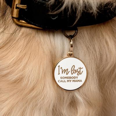 Show full view: Two Tails Pet Company I'm Lost Somebody Call My Mama Brass Non-Personalized Dog & Cat ID Tag, Gold/White slide 3 of 5
