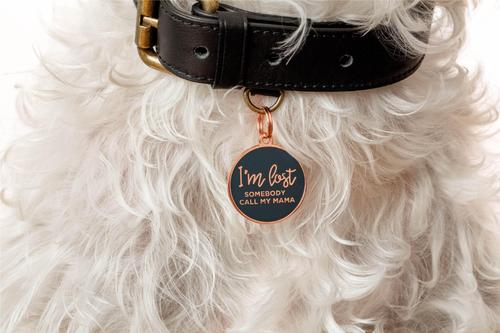 Show full view: Two Tails Pet Company I'm Lost Somebody Call My Mama Brass Non-Personalized Dog & Cat ID Tag, Rose Gold/Navy slide 2 of 5