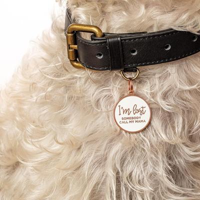 Show full view: Two Tails Pet Company I'm Lost Somebody Call My Mama Brass Non-Personalized Dog & Cat ID Tag, Rose Gold/White slide 2 of 4