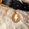Show in main carousel: Two Tails Pet Company Lightning Bolt Brass Non-Personalized Dog & Cat ID Tag, Gold/White slide 2 of 4