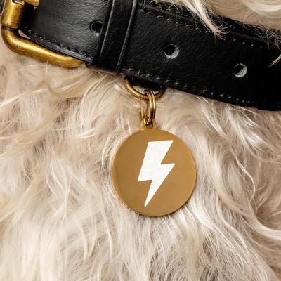Show full view: Two Tails Pet Company Lightning Bolt Brass Non-Personalized Dog & Cat ID Tag, Gold/White slide 2 of 4
