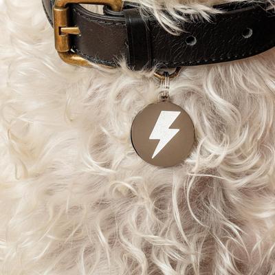 Show full view: Two Tails Pet Company Lightning Bolt Brass Non-Personalized Dog & Cat ID Tag, Silver/White slide 2 of 3