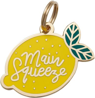 Show full view: Two Tails Pet Company Main Squeeze Brass Non-Personalized Dog & Cat ID Tag, Yellow slide 1 of 5