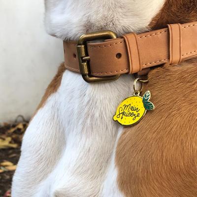 Show full view: Two Tails Pet Company Main Squeeze Brass Non-Personalized Dog & Cat ID Tag, Yellow slide 3 of 5