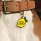 Show in main carousel: Two Tails Pet Company Main Squeeze Brass Non-Personalized Dog & Cat ID Tag, Yellow slide 2 of 5