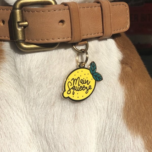 Two Tails Pet Company Main Squeeze Personalized Dog & Cat ID Tag