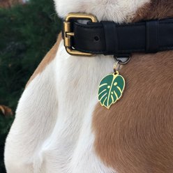 Two Tails Pet Company Monstera Leaf Brass Non-Personalized Dog & Cat ID Tag, Green slide 2 of 6