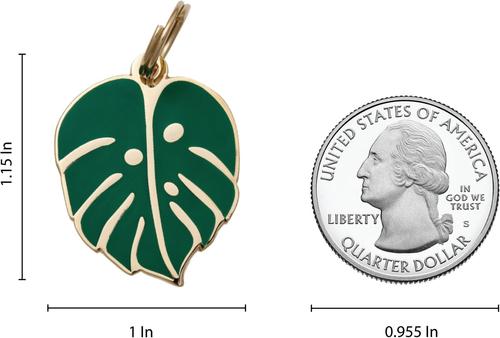 Show full view: Two Tails Pet Company Monstera Leaf Brass Non-Personalized Dog & Cat ID Tag, Green slide 6 of 6