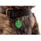 Show in main carousel: Two Tails Pet Company Monstera Leaf Brass Non-Personalized Dog & Cat ID Tag, Green slide 2 of 6