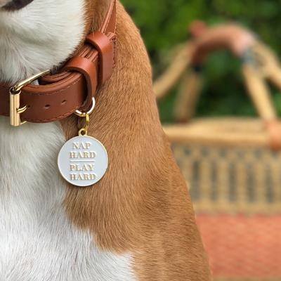 Show full view: Two Tails Pet Company Nap Hard Play Hard Non-Personalized Dog ID Tag, White slide 3 of 5
