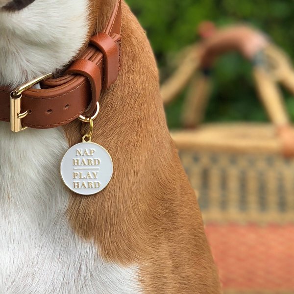 Two Tails Pet Company Nap Hard Play Hard Personalized Dog ID Tag