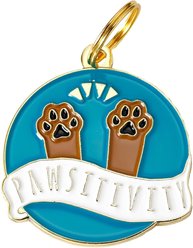 Two Tails Pet Company Pawsitvity Brass Non-Personalized Dog & Cat ID Tag, Green