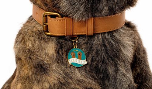 Show full view: Two Tails Pet Company Pawsitvity Brass Non-Personalized Dog & Cat ID Tag, Green slide 4 of 5