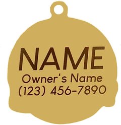 Two Tails Pet Company Pawsitvity Personalized Dog & Cat ID Tag, Green slide 2 of 6
