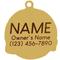 Show in main carousel: Two Tails Pet Company Pawsitvity Personalized Dog & Cat ID Tag, Green slide 2 of 6