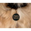 Show in main carousel: Two Tails Pet Company Personalized Have Your People Dog & Cat ID Tag, Navy slide 3 of 6