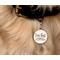 Show in main carousel: Two Tails Pet Company Personalized I'm Lost Dog & Cat ID Tag, White slide 4 of 7