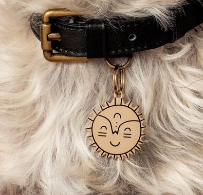Show full view: Two Tails Pet Company Personalized Smiling Sun Dog & Cat ID Tag slide 3 of 5