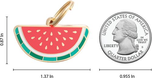 Show full view: Two Tails Pet Company Personalized Watermelon Dog & Cat ID Tag slide 2 of 4