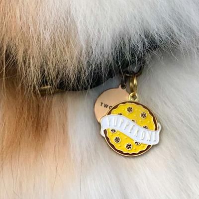 Show full view: Two Tails Pet Company Pupperoni Non-Personalized Dog ID Tag, Yellow slide 3 of 5