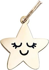 Two Tails Pet Company Smiling Star Brass Non-Personalized Dog & Cat ID Tag, Gold