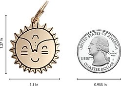 Two Tails Pet Company Smiling Sun Brass Non-Personalized Dog & Cat ID Tag, Gold slide 2 of 4