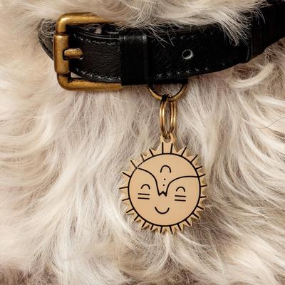 Show full view: Two Tails Pet Company Smiling Sun Brass Non-Personalized Dog & Cat ID Tag, Gold slide 2 of 4