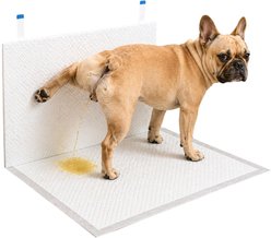 Two Tails Pet Company Splash Guard unscented Dog Potty Pads, White, 23.6 x 17.7 x 14.6-in, 20 count