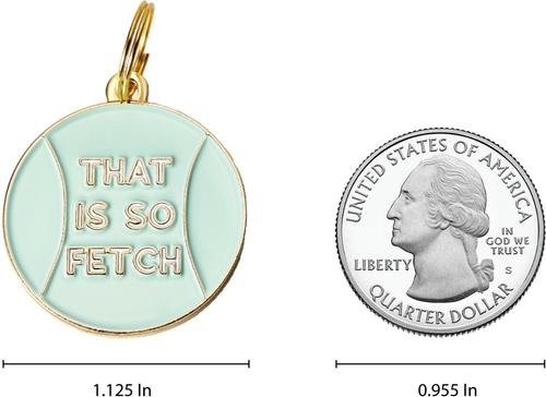 Show full view: Two Tails Pet Company That's So Fetch Brass Non-Personalized Dog & Cat ID Tag, Green slide 6 of 6