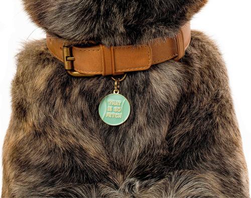 Show full view: Two Tails Pet Company That's So Fetch Brass Non-Personalized Dog & Cat ID Tag, Green slide 5 of 6