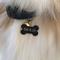 Show in main carousel: Two Tails Pet Company Treat Yo Self Personalized Dog & Cat ID Tag, Black slide 4 of 6