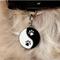Show in main carousel: Two Tails Pet Company Yin Yang Brass Non-Personalized Dog & Cat ID Tag, Black slide 2 of 4