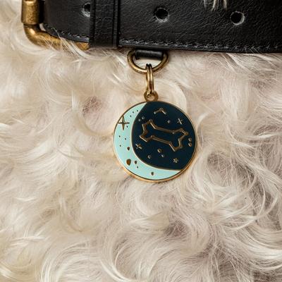Show full view: Two Tails Pet Company Zodiac Brass Non-Personalized Dog & Cat ID Tag, Blue slide 2 of 5