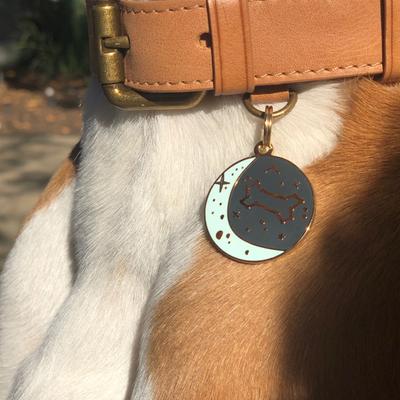 Show full view: Two Tails Pet Company Zodiac Brass Non-Personalized Dog & Cat ID Tag, Blue slide 3 of 5