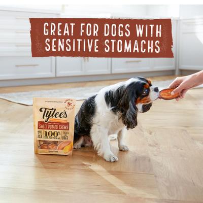 Show full view: Tylee's Sweet Potato Chew Dehydrated Dog Treats, 16-oz bag slide 6 of 10