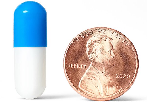 Show full view: Tylosin Compounded Capsule for Dogs & Cats, 250-mg, 1 capsule slide 2 of 8