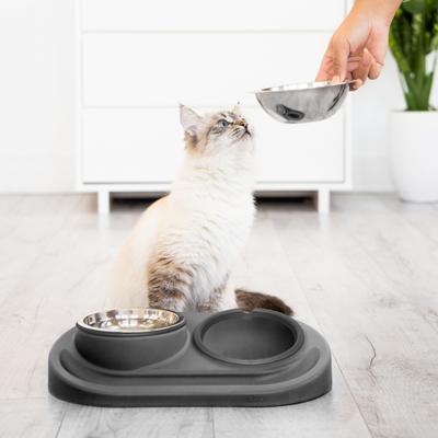 Show full view: Ubbi Food & Water Non-Skid Stainless Steel Elevated Dog & Cat Bowls, 16-oz, Gray slide 5 of 7