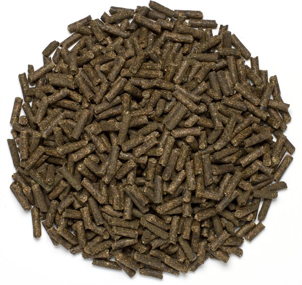 SmartEquine Devils Claw Plus Pellets Horse Supplement, 5-lb pail