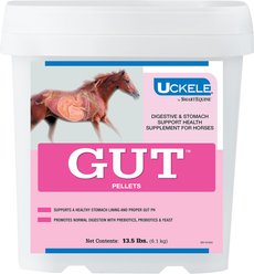 SmartEquine GUT Pellets Horse Supplement, 13.5-lb pail