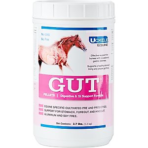 SmartEquine Gut Pellets Pellets Horse Supplement, 2.7-lb jar