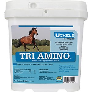 SmartEquine Tri-Amino Amino Acid Powder Horse Supplement, 5-lb bucket