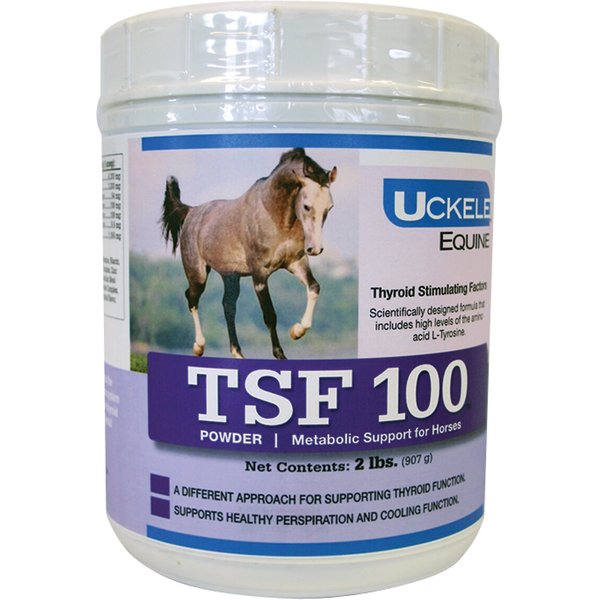 Uckele Jiaogulan Circulation Support Powder Horse Supplement, 1-lb bag