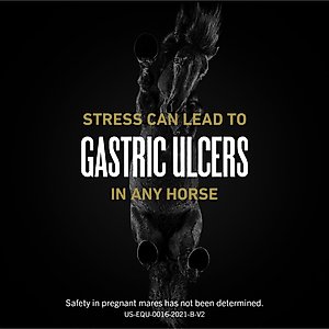 Ulcergard Omeprazole Paste Horse Treatment, 1 syringe, .22-oz syringe